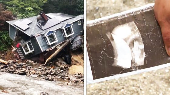 Sonogram Images From Destroyed House Found 35 Miles Away – MASHAHER