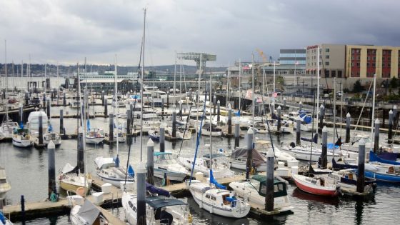 River otter drags child off dock and underwater in rare attack at Washington marina – MASHAHER