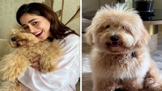 Ananya Panday’s morning adventures includes snuggles with her pup Riot, see photo : Bollywood News – MASHAHER