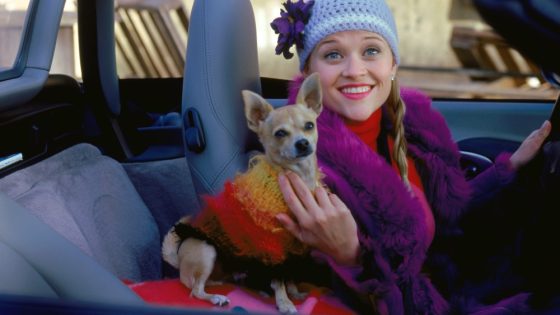 ‘Legally Blonde’ Prequel Sets Open Casting Call for Young Elle Woods – MASHAHER