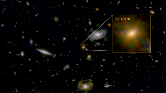 James Webb Space Telescope witnesses a black hole ‘killing’ its galaxy (photo) – MASHAHER