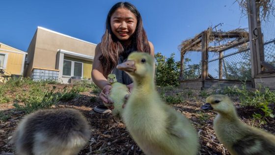 Welcome to the farm where cows, pigs and sheep are part of the climate curriculum – MASHAHER