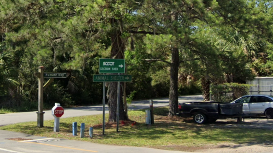 Hammer-wielding Hilton Head driver smashes visitor’s car in apparent road rage attack – MASHAHER