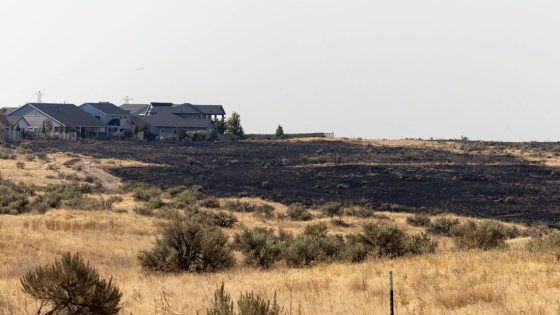 ‘We wake up and the world’s on fire:’ Photos show scale of Southeast Boise wildfire – MASHAHER