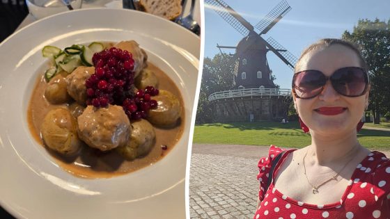 Woman flew to Sweden for 12 hours to try Swedish meatballs – MASHAHER