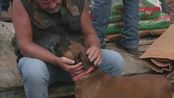 Bay County Motorcycle club donated pounds of dog food to help feed 200 puppies – MASHAHER