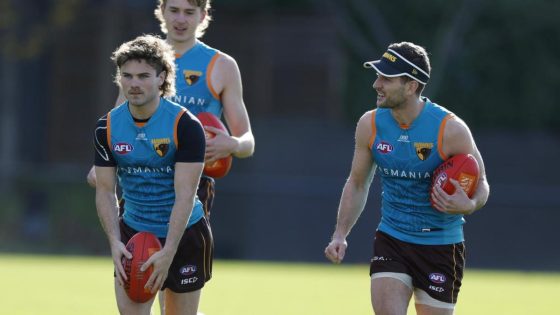 AFL 2024: Hawthorn great Luke Hodge’s lighthearted text to veterans Luke Breust and Jack Gunston – MASHAHER