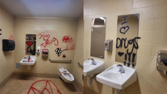 Juveniles cause thousands in damages after vandalism at South Park in Oshkosh – MASHAHER