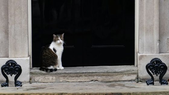 Starmer Family’s New Siberian Kitten Joins Larry the Cat at Downing Street – MASHAHER