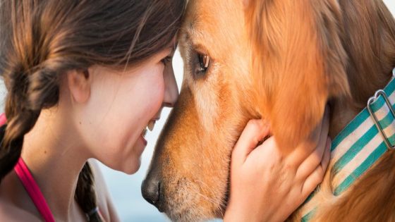 Dogs’ Brains Sync With Ours When We Gaze Into Their Eyes, Study Finds – MASHAHER