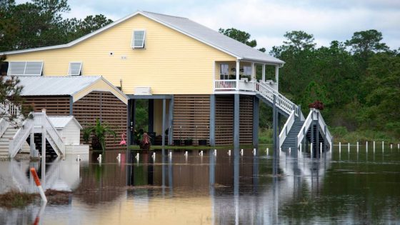 Floods, damage & downed trees from Louisiana to South MS – MASHAHER