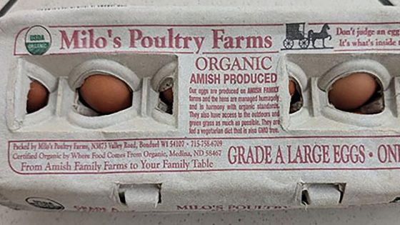 Dozens of people sick across several states in salmonella outbreak linked to recalled eggs – MASHAHER