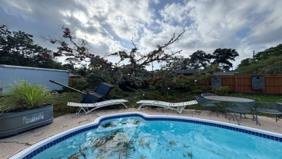 Photos show devastating storm damage across Tampa Bay – MASHAHER