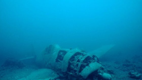 A Snorkeler Went on a Routine Excursion—and Stumbled Upon a Hidden Chunk of Rocket – MASHAHER