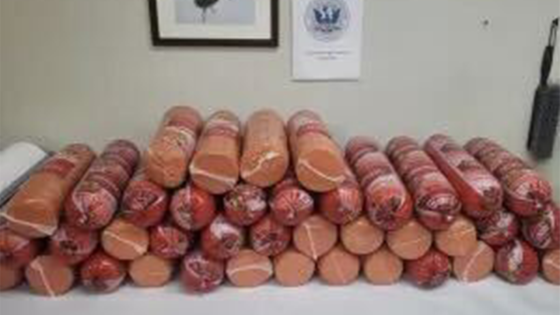 Woman caught smuggling more than 700 pounds of bologna at southern border: CBP – MASHAHER