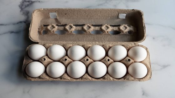 Eggs are Being Recalled Across Multiple States—Here’s What You Need to Know – MASHAHER