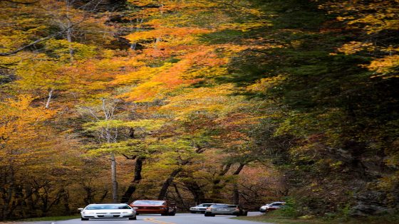 Your trip to Smokies trails might take longer with this Gatlinburg road closure next week – MASHAHER