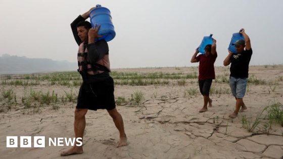 Drought leaves Amazon basin rivers at an all-time low – MASHAHER