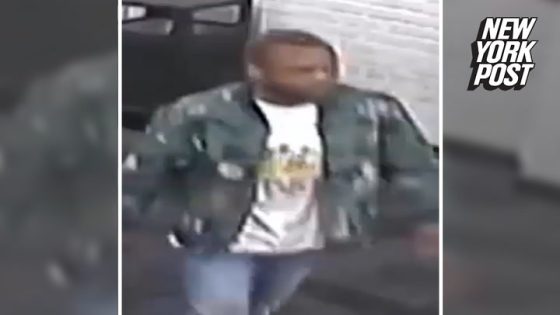 Police searching for man who broke into NYC apartment and raped 29-year-old woman – MASHAHER