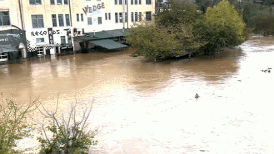 Shops And Roads in Asheville Inundated by Helene Floodwaters – MASHAHER