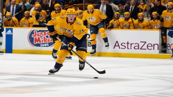 Where Newly Signed Parssinen & Del Gaizo Fit Into the Predators Plans This Season – MASHAHER