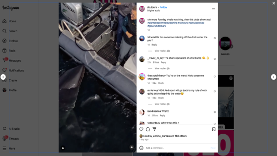 Massive great white shark bumps whale-watching boat in Pismo Beach. See the video – MASHAHER