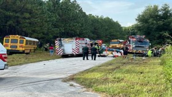 School bus, car involved in crash near Wildwood – MASHAHER