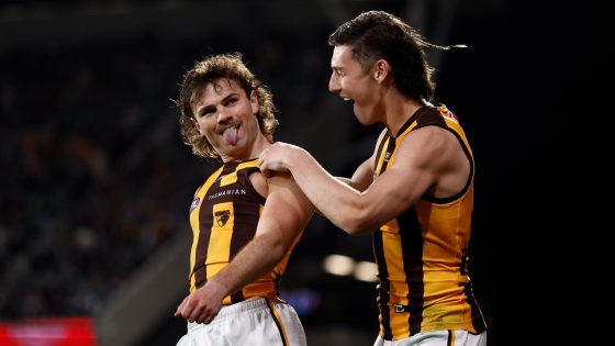 Hawthorn Hawks player ratings from Second Semi Final vs Port Adelaide, highlights, stats, best and worst players – MASHAHER