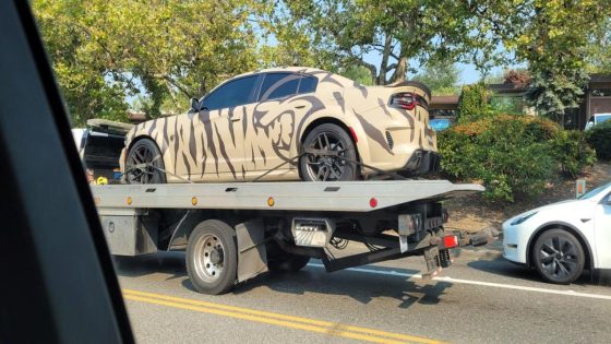 Seattle’s ‘Belltown Hellcat’ spotted on tow truck in Kent: Reddit – MASHAHER