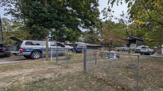 Woman faces animal cruelty charges after 63 dogs rescued in Dandridge – MASHAHER