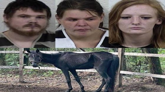 3 charged in MS neglect case after call for baby leads to horse, dogs – MASHAHER