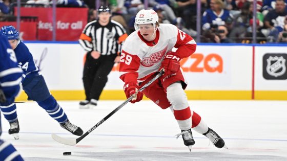 Where Do Red Wings’ Young NHL Hopefuls Stand After Training Camp? – MASHAHER