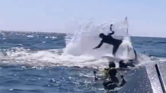 Snorkeller tossed in air by humpback whale in Australia – MASHAHER