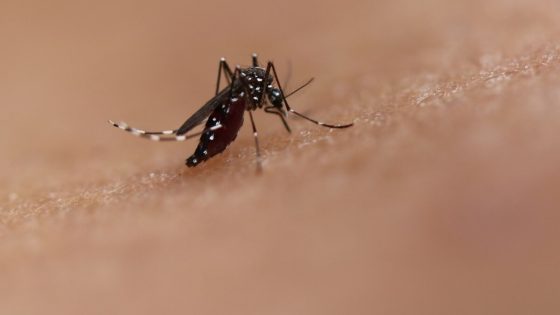 Karnataka declares Dengue fever an epidemic, to penalise people violating rules – MASHAHER