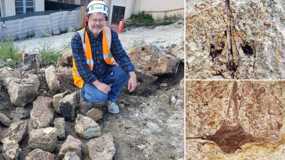 Millions of fossils unearthed during construction at Los Angeles high school – MASHAHER