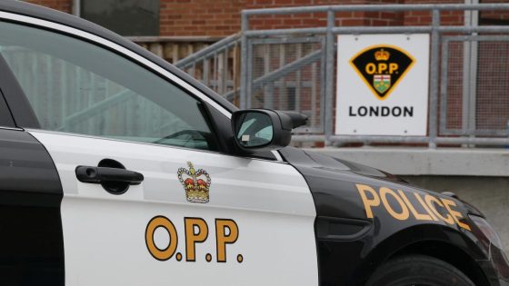 Infant dead after being found unresponsive in swimming pool in Harrow: OPP – MASHAHER