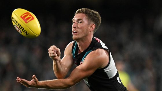 Port defender Farrell’s bid to return appears doomed – MASHAHER