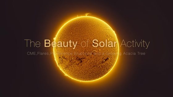 Astrophotographer captures the beauty of solar activity in stunning sun photo – MASHAHER