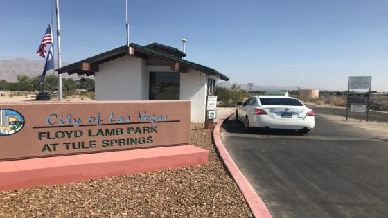 Las Vegas residents concerned with recent pond closure at Floyd Lamb Park – MASHAHER