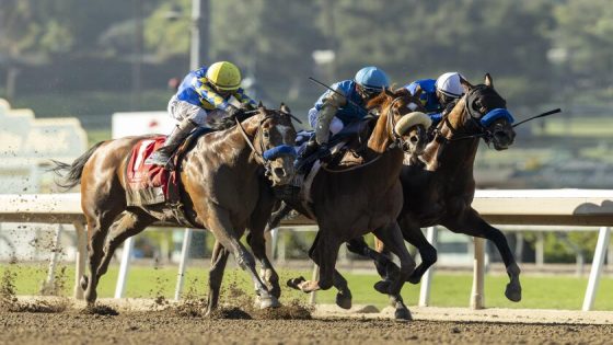 Subsanador edges field in dramatic California Crown $1 million race at Santa Anita – MASHAHER