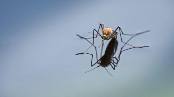 Health officials sound the alarm after confirming deaths caused by dangerous disease spread by mosquitos: ‘Poses a serious risk’ – MASHAHER