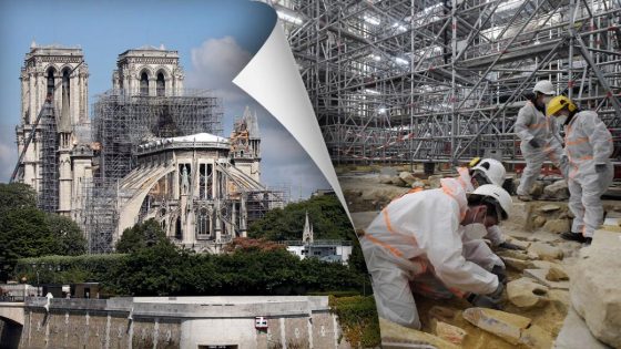 Human remains at Notre-Dame Cathedral may have been identified after more than 450 years – MASHAHER