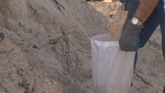 Altamonte Springs opening sandbag locations ahead of expected heavy rainfall – MASHAHER