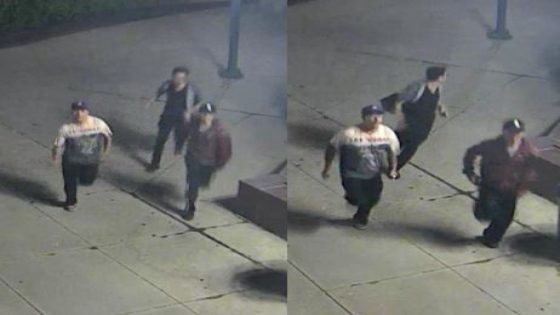 Chicago police seek 3 suspects in knife attack on Mag Mile – MASHAHER