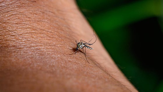 Maps show states with West Nile virus, EEE as cases of mosquito-borne illnesses spread – MASHAHER