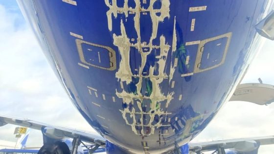 IndiGo Flight Tailstrike Leaves Huge Dent During Take-Off, Plane Returns To Airport – MASHAHER