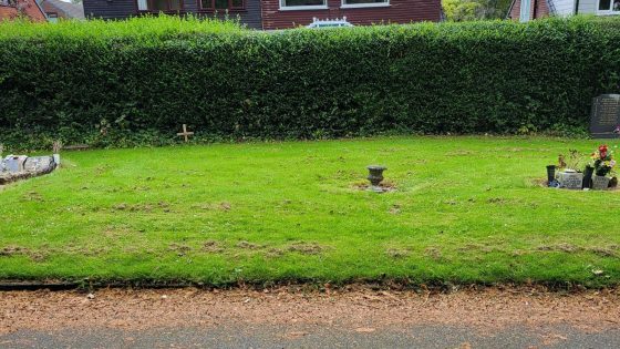 More than 300 bodies found in Oldham mass grave – most belonging to babies and children | UK News – MASHAHER