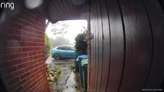 Tornado strikes Aldershot in Hampshire – bringing down trees, damaging buildings | UK News – MASHAHER