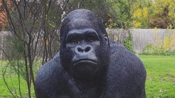 Man who stole ‘Garry’ the gorilla statue from retirement village sentenced – MASHAHER