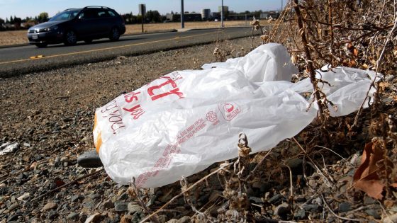 California governor signs law banning all plastic shopping bags at grocery stores – MASHAHER